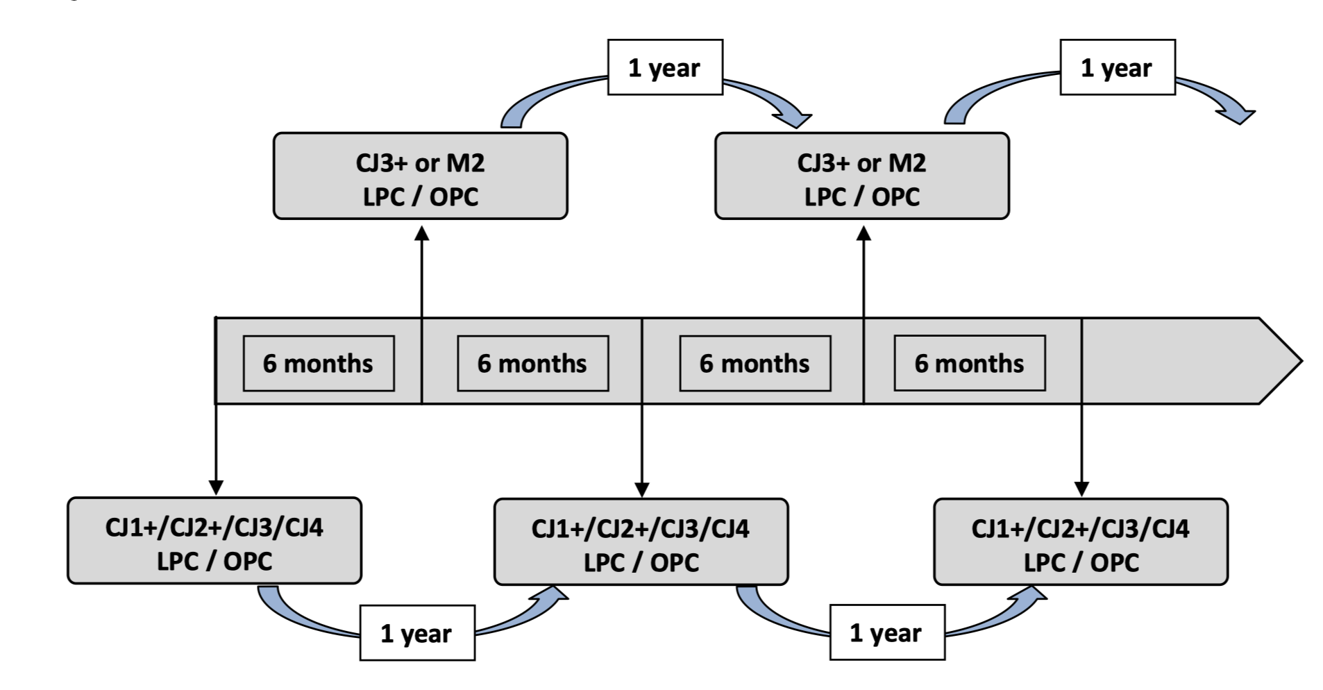 Cessna 525 recurrent training and checking